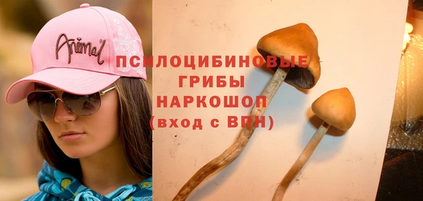 шишки Навашино