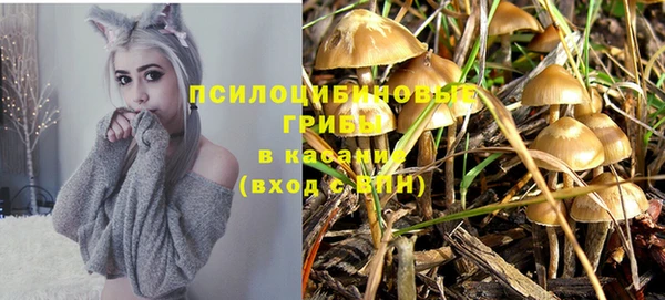 шишки Навашино